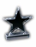 Custom Star Award (10