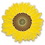 Blank Sunflower Pin, 1" W x 1" H, Price/piece