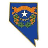Blank Nevada Pin