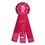 Custom 14" Stock Rosettes/Trophy Cup On Medallion (Outstanding Achievement), Price/piece