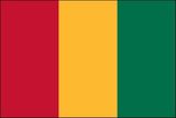 Custom Guinea Nylon Outdoor UN Flags of the World (12
