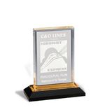 Custom Gold Rectangle Acrylic Award (6