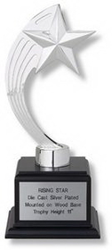 Custom Silver Rising Star Trophy (11")