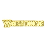 Custom Chenille Pin Wrestling