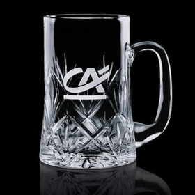 Custom 21 Oz. Park Lane Stein Mug