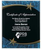 Custom Blue Marble Star Plaque Award (7