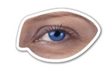 Custom Realistic Eye - Magnet 2.56 Sq. In. & 15 MM Thick, 2