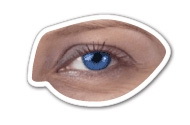 Custom Realistic Eye - Magnet 2.56 Sq. In. & 15 MM Thick, 2" W x 1.25" H x 15mm Thick