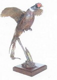 On the Wing Pheasant Sculpture (21 1/2