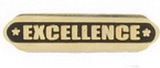 Custom Excellence Stock Die Struck Pin