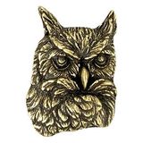 Blank Owl Mascot Fully Modeled 3 Dimensional Pin