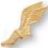 Blank Winged Foot Track Chenille Letter Pin, Price/piece