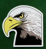 Custom Eagle Head Magnet (4.0 Sq. In.), 15mm Thick