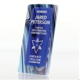 Custom Jasper Fusion Art Glass Award with Peg Easel, 4 1/2" W x 9" W