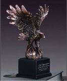 Custom Eagle Choice Award, 7.5