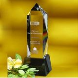 Custom Awards-optical crystal award/trophy 6 inch high, 2 3/4