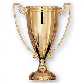 Blank Die Cast Metal Trophy Cup (13")(Without Base)