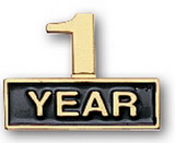 Custom Cutout One Year Stock Pin