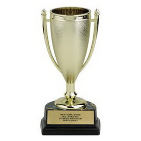 Custom Plastic Trophy Cup on Black Base (6 1/2")