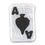 Custom Potpourri Embroidered Applique - Ace of Spade, Price/piece