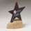 Custom Rocky Star Award, Price/piece