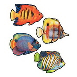 Custom Coral Reef Fish Cutouts, 16