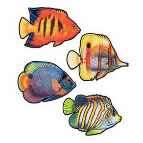 Custom Coral Reef Fish Cutouts, 16" L
