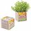Custom Wooden Cube Blossom Kit, 3" W x 3" H x 3" D, Price/piece