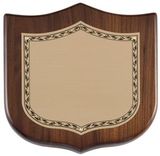 Blank Walnut Shield Series Plaque w/ Brass Plate/ Curved Top Edge (6 1/2
