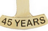Custom Stock Die Struck Pin (45 Year)