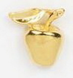 Custom Gold Apple/ Bird Stock Cast Pin