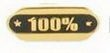 Custom Stock Die Struck Pin (100%)