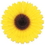 Custom Sunflower Fan, 18" Diameter, Price/piece