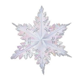 Custom Metallic Winter Snowflake, 24" L