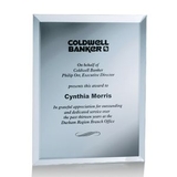 Custom Silver Mirror Plaque Award (7