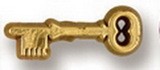 Custom Skeleton Key Stock Design Plastic Lapel Pin