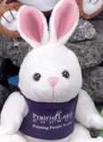 Custom GB Brite Plush Beanie Bunny