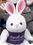 Custom GB Brite Plush Beanie Bunny, Price/piece