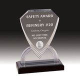 Custom Silver Carved Shield Impress Acrylic Award (8