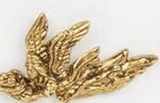 Custom Flying Angel w/ Tray Stock Cast Pin