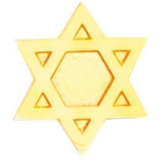 Custom Service Lapel Pin Jewish Star
