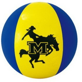 Blank Inflatable Yellow & Blue Beach Ball (16")
