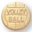 Blank Volleyball Chenille Letter Pin, 7/16" Diameter, Price/piece