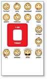 Custom .020 High Resolution Magnet / with Rectangle Mood Indicator (4
