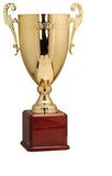 Custom Gold Plated Aluminum Cup Trophy w/ Wood Base (22