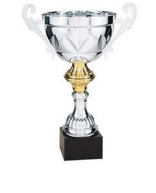 Custom Silver Plated Aluminum Cup Trophy w/ Solid Marble Base (9")
