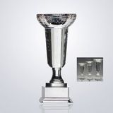 Custom Crystal King's Bowl Trophy(Medium Size) with Sandblast Engraving-Deep Etch Engraving