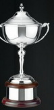 Custom Swatkins Plain Ultimate Winner's Cup Award w/ Knobbed Lid (22