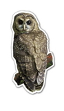 Custom Owl Magnet - 5.1-7 Sq. In. (30MM Thick)