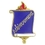 Blank School - Achievement Pin, 7/8" W X 1/2" H, Price/piece
